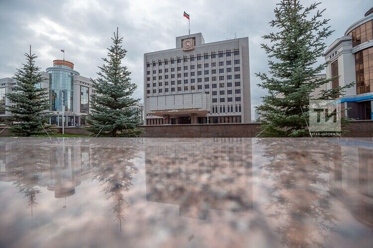 Дөньяда коронавирус таралу сәбәпле, Татарстан парламенты аерым эш режимына күчә