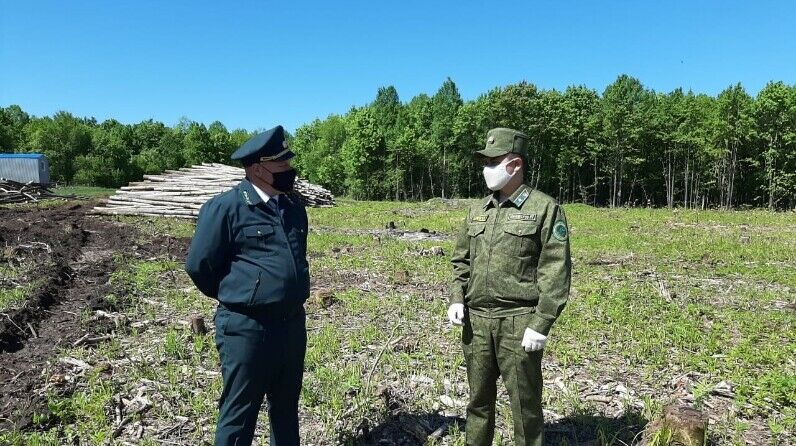 Татарстан Урман хуҗалыгы министрлыгы вәкиле Чирмешән урман хуҗалыгы эшен тикшерде