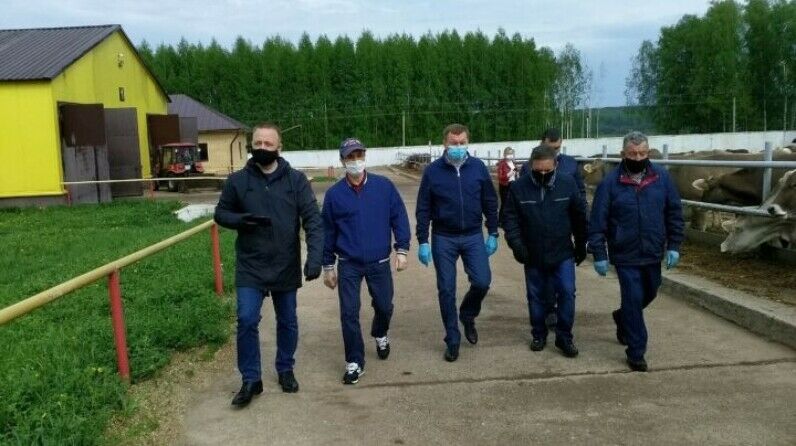 Марат Җәббаров Балык Бистәсе авыл хуҗалыгы җитештерүчеләренең эшләре белән танышты