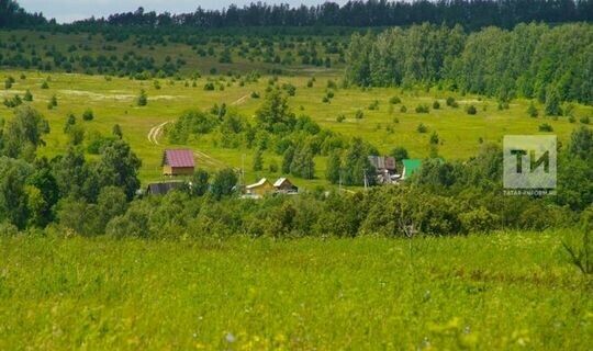 Татарстанның ун районында коронавирус йоктыруның очрагы теркәлмәгән