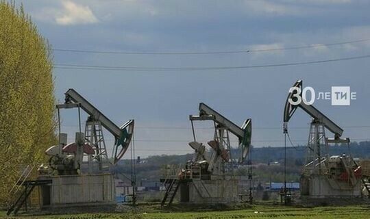 Татарстанның кече компанияләре планлаштырылганнан 7 процентка күбрәк нефть чыгарды