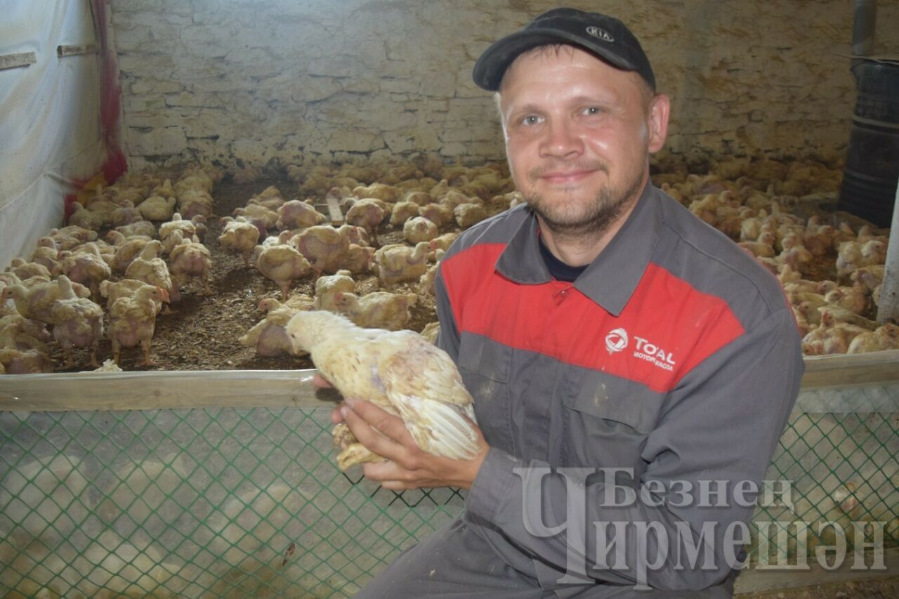 Чирмешән районының яшь фермерлары грант откан