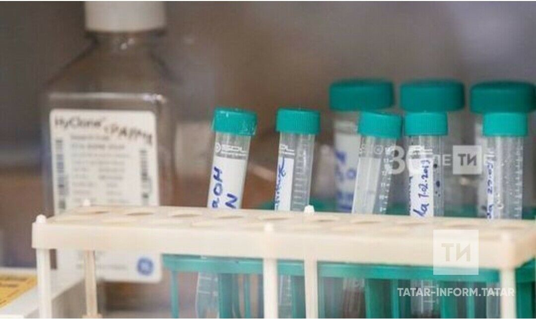 Татарстанда соңгы тәүлектә 33 кеше коронавирус йоктырган, 29 пациент терелгән