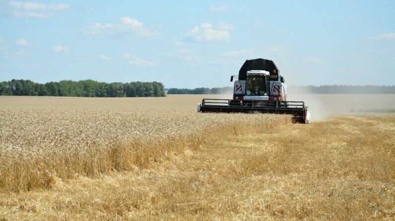 Актаныш районында урып-җыю кампаниясе башланды