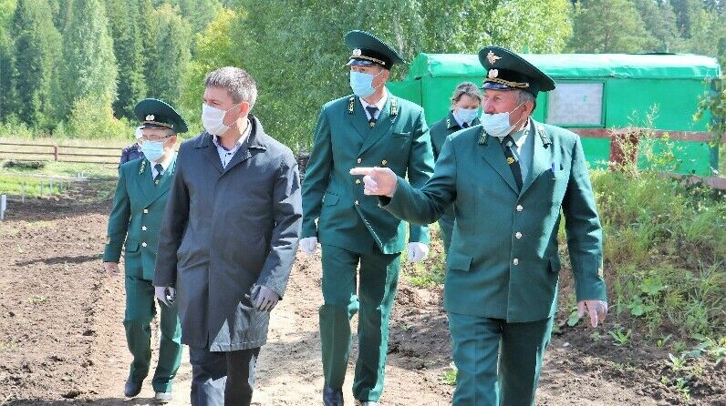 Урман хуҗалыгы министры  Мамадыш районы оешмалары эшчәнлеге белән танышты