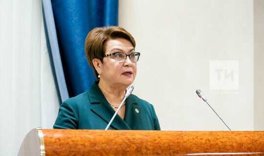  Татарстанда омбудсменга бер ел эчендә мөрәҗәгатьләр саны меңнән арткан