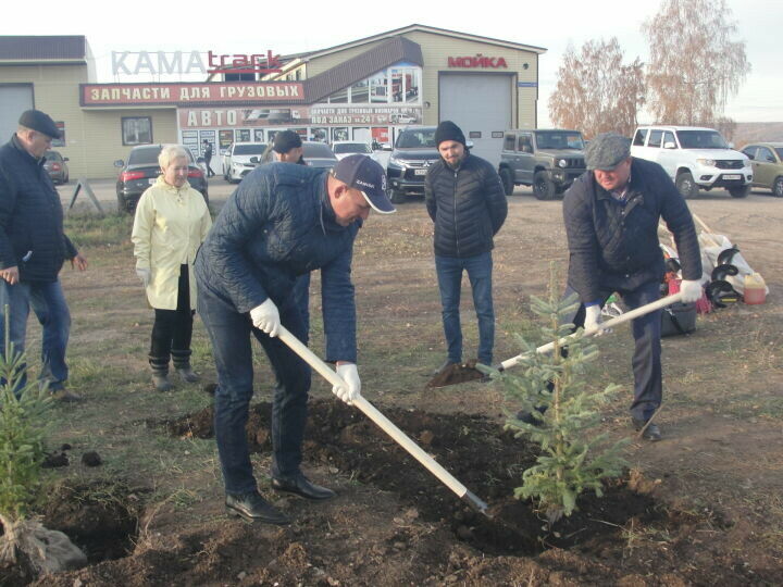 Зәйдә яңа парк урынында агачлар утырта башладылар