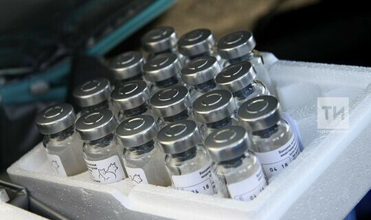 Россиядә коронавирус инфекциясенә каршы өченче вакцина теркәлде