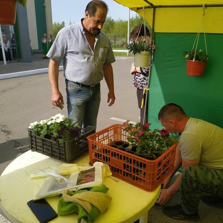 Зәйдә яшәүчеләр сезонлы ярминкәдә үсентеләр алды