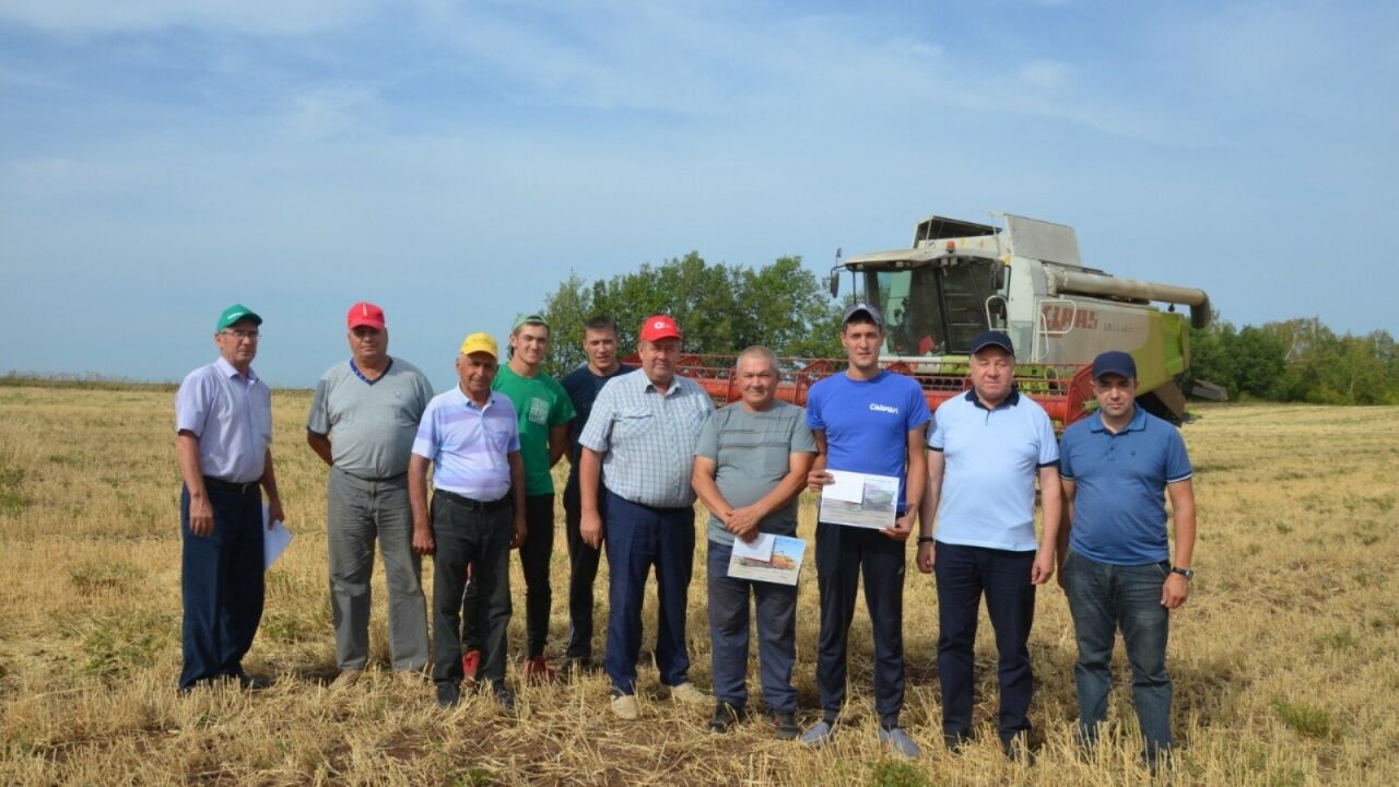 Татарстанда алдынгы комбайнчыларны бүләкләү дәвам итә