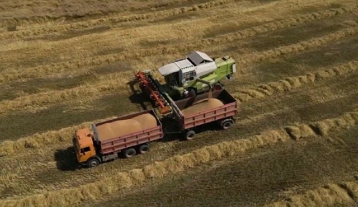 Рөстәм Миңнеханов Татарстанда урып-җыюның барышы төшерелгән видео күрсәтте