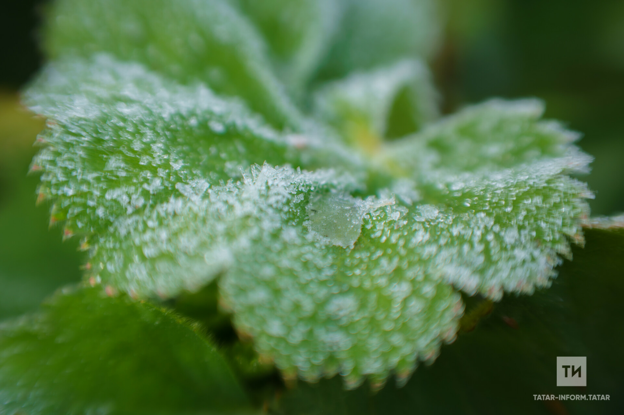 Татарстан Гидрометеорология үзәге алдагы тәүлектә -1 градус суык булачагы турында кисәтте