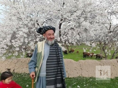 Әфганстанда Бөтендөнья татар конгрессы съездында катнашкан Камалетдин Татар вафат булган