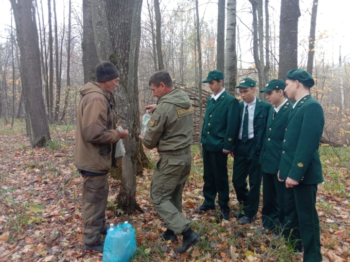 Апас урманчылары «Урман ашханәсе»нә җим салды