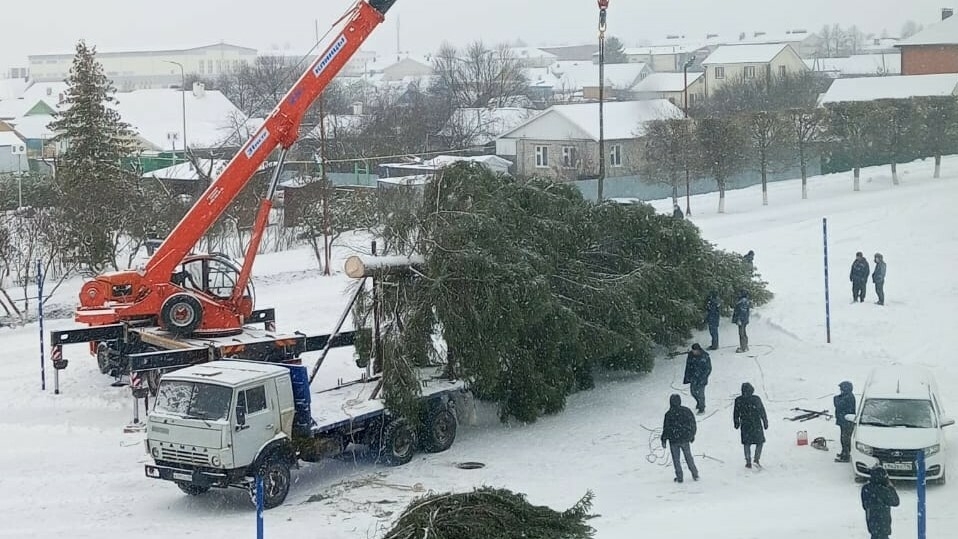 Саба үзәгенә Яңа ел бәйрәме өчен 25 метрлы чын чыршы куйганнар