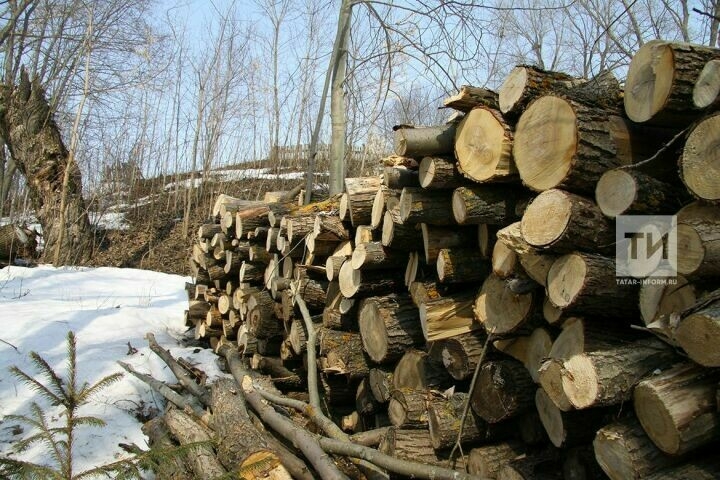 Утын сатып алырга теләгән Чаллы кешесе мошенникка акча күчергән