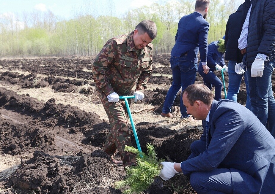 Түбән Кама районында ылыслы агачлар аллеясы барлыкка килде