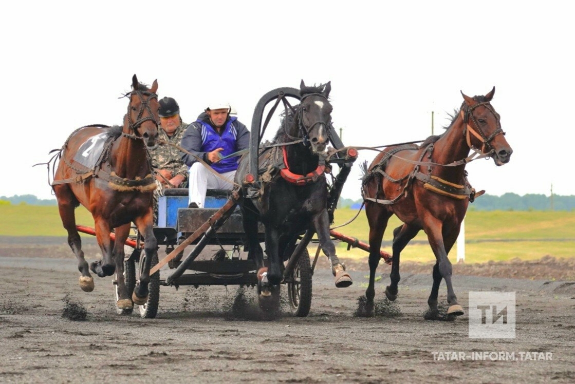Кемерово Сабан туе губернатор призына ат чабышлары белән башланды