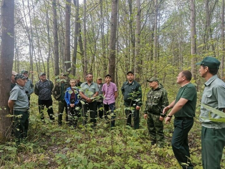 Аксубай урманчылары хезмәттәшләренең тәҗрибәсе белән танышты