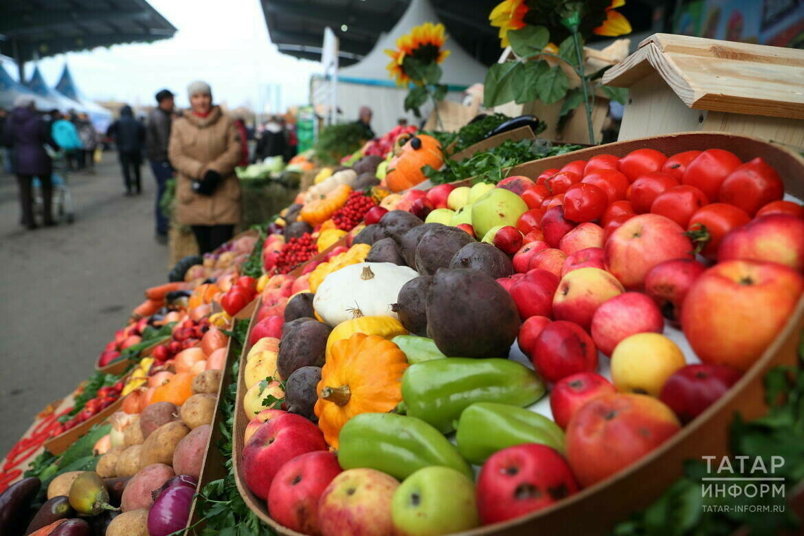 Татарстанда помидор һәм балык кыйммәтләнде, алма бәясе кимеде