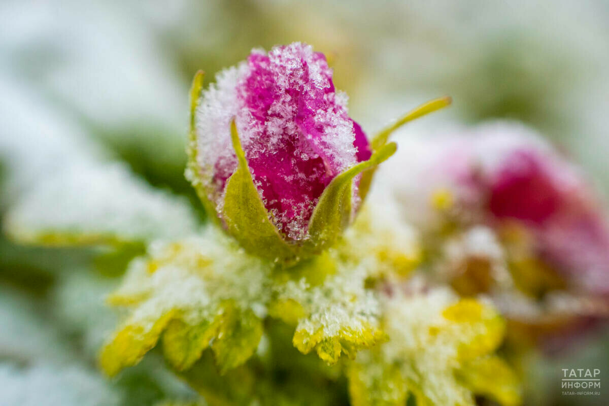 Татарстан синоптиклары беренче кар турында кисәтте