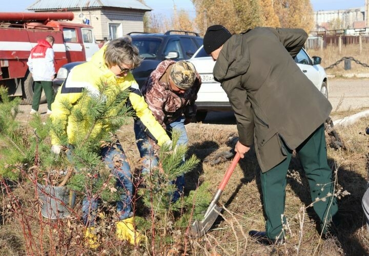 Чистайлылар «Урманны саклыйк» акциясендә 150 төп агач утыртты