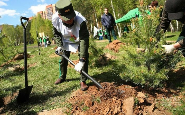 Әлмәт кешеләрен агач утырту акциясендә катнашырга чакыралар