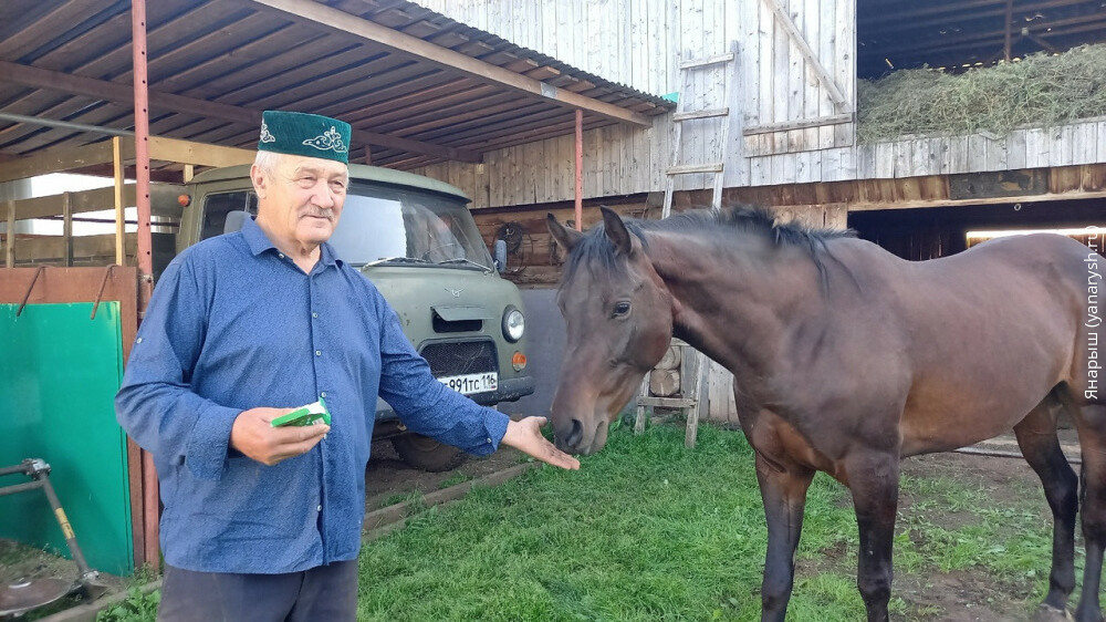 Әгерҗе районында яшәүче Мосавир Гыйззәтуллин: Авылларда атта чабучы малайлар юк