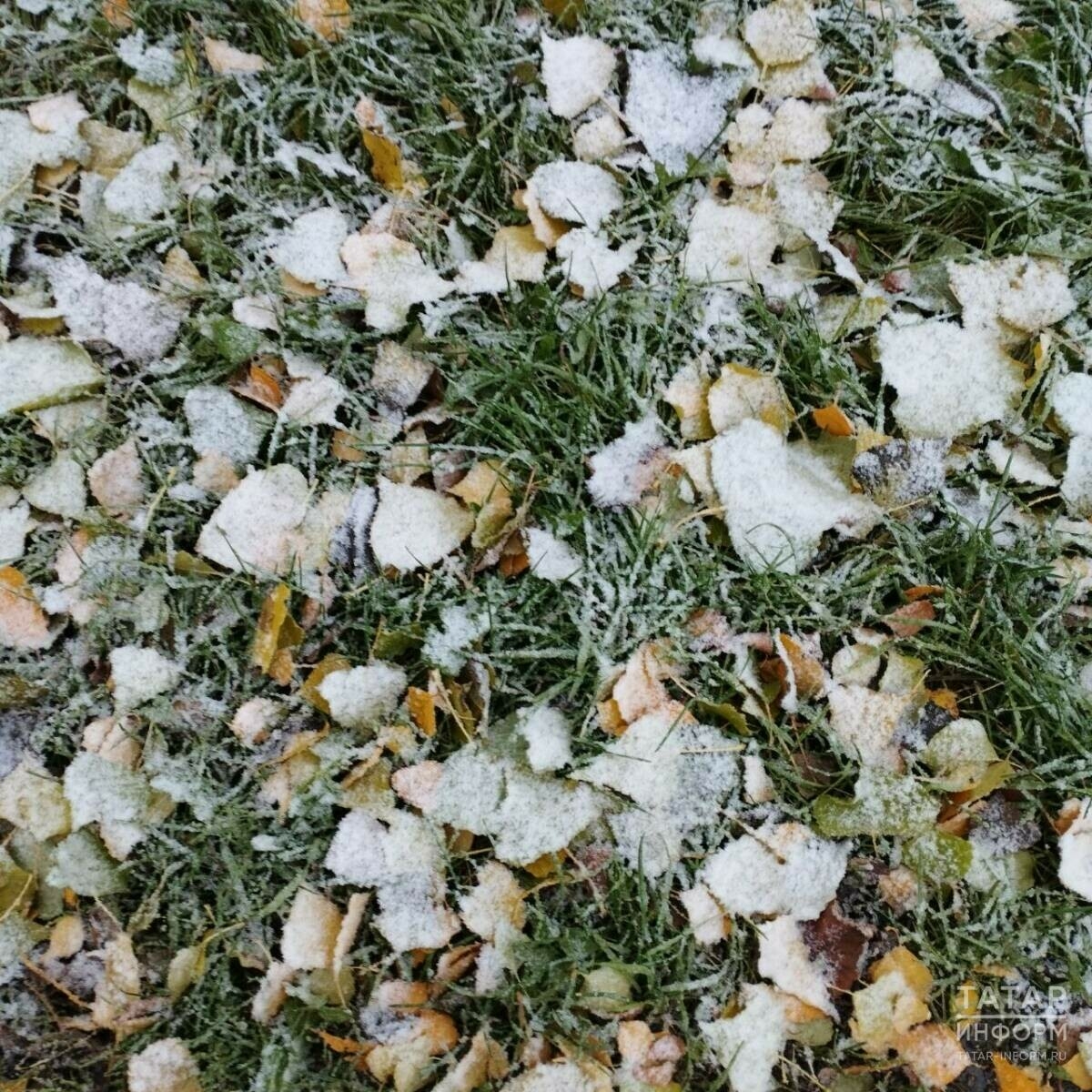 Синоптик Казанда кар тулысынча ятачак вакытны фаразлады