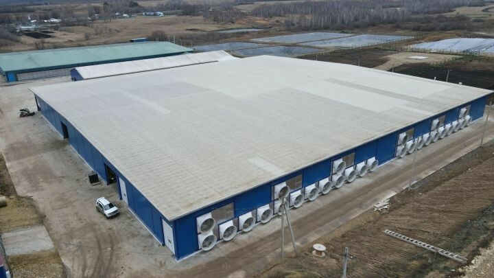 Лениногорск районында «Ялтау» сөтчелек комплексының икенче чираты кулланылышка тапшырыла