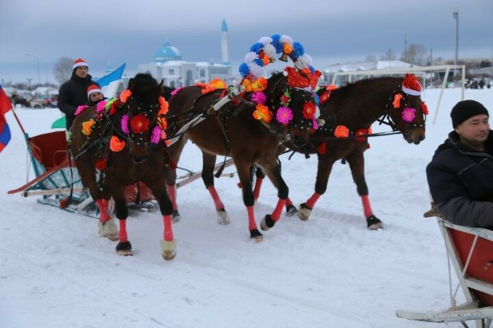 Мөслимдә «Җиз кыңгырау моңнары» дип аталган җигүле атлар парады оештырылды