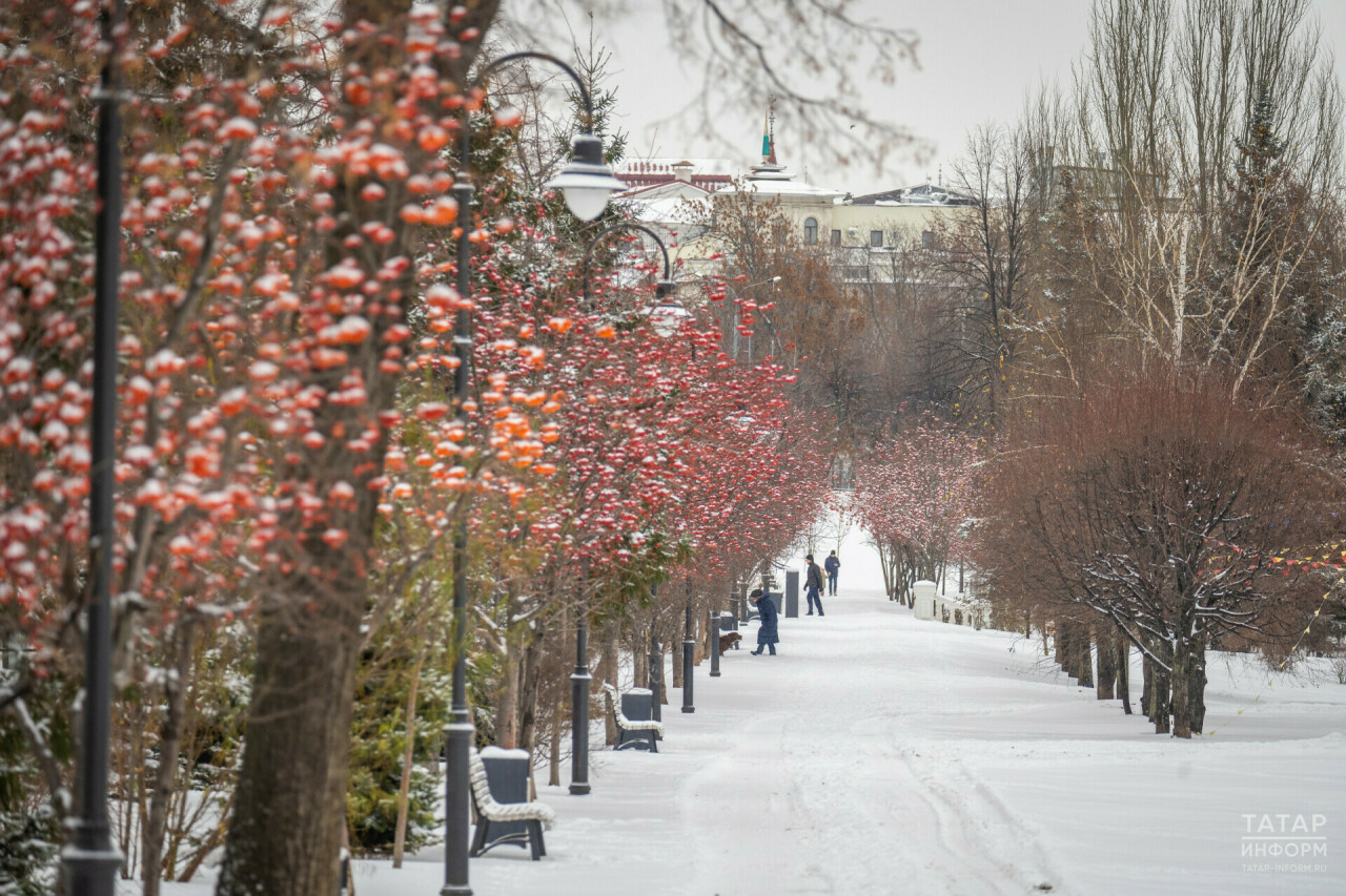 Бүген Татарстанда -5 градуска кадәр салкын була