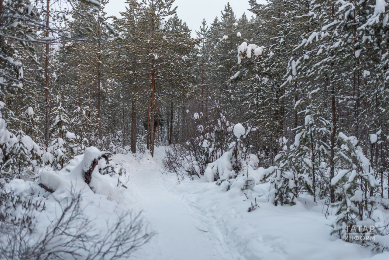 Татарстанда томан һәм -10 градуска кадәр салкын көтелә