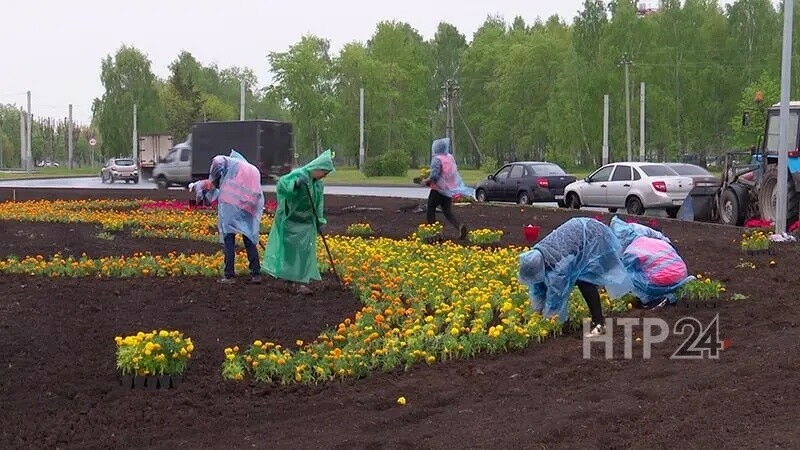 Түбән Камада 200 меңгә якын чәчәк утыртачаклар