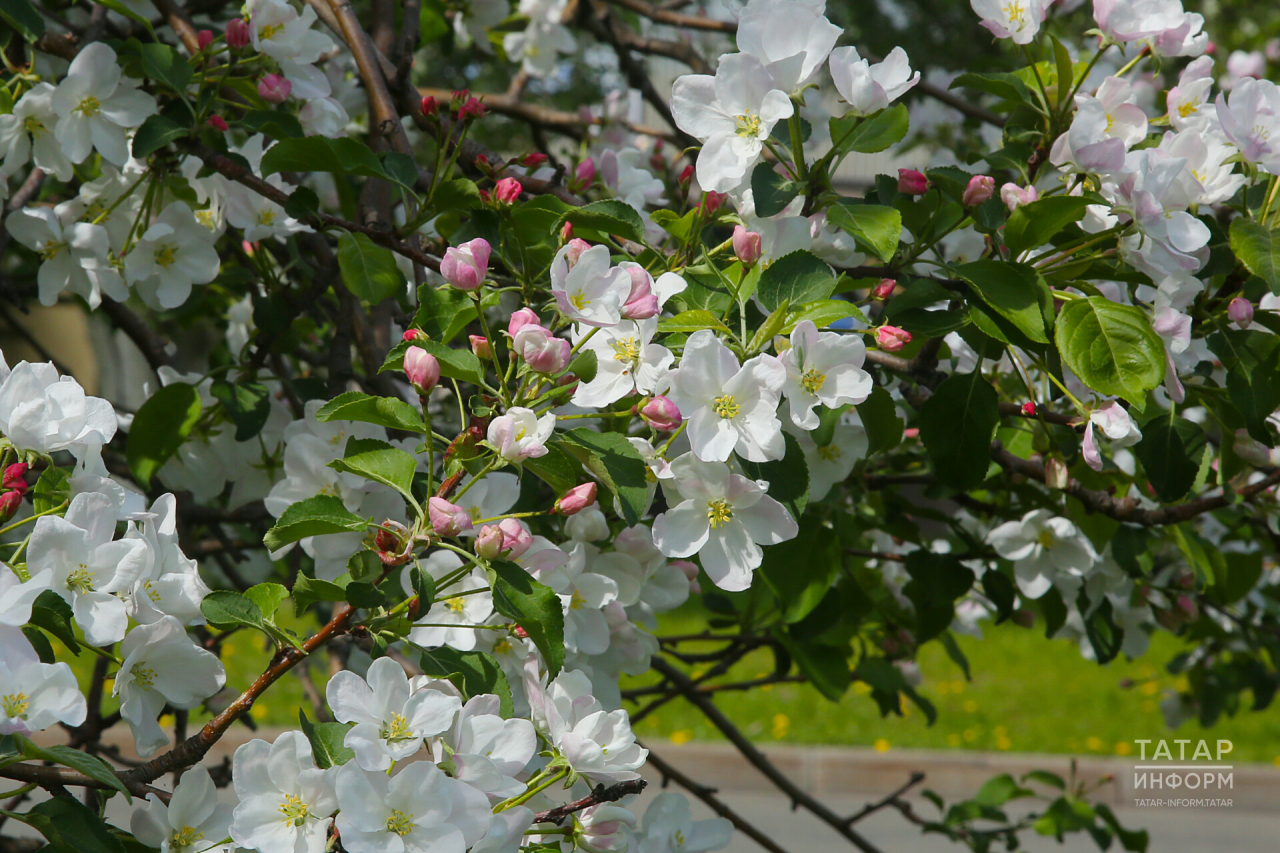 Татарстанда +26 градуска кадәр җылы һәм көчле җил көтелә