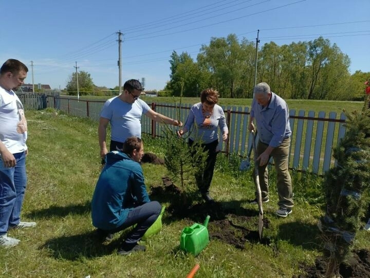 Камал театры артисты Әсхәт Хисмәтов туган авылы Түбән Әлкидә чыршылар утыртты