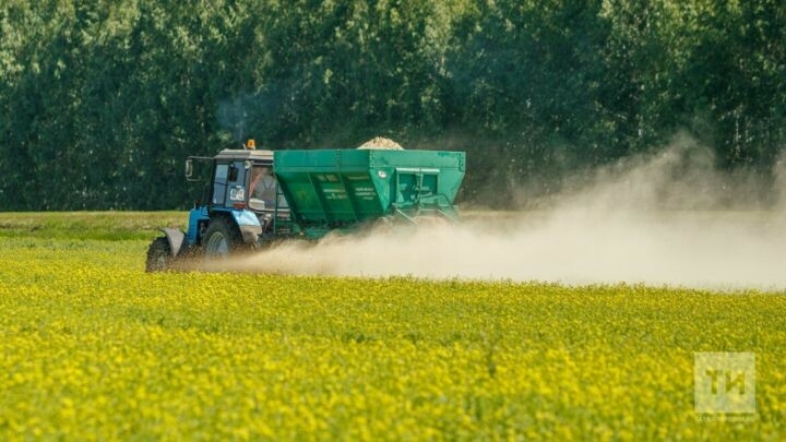 Әлмәт фермерлары мал азыгы әзерләү эшен 87 процентка башкарган