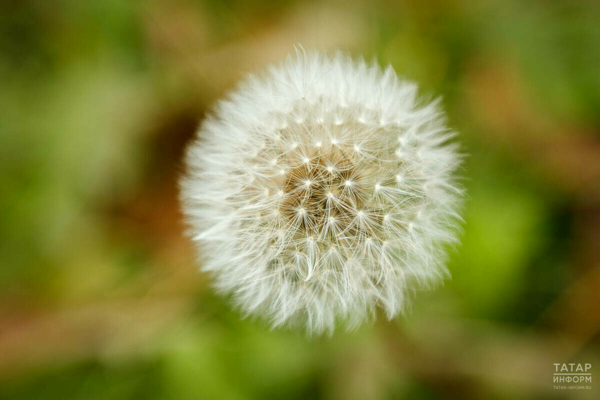 Гидрометеорология үзәге Татарстанга әбиләр чуагы килүе турында хәбәр итте