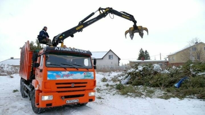 Әлмәттә Яңа ел чыршыларын җыя башладылар