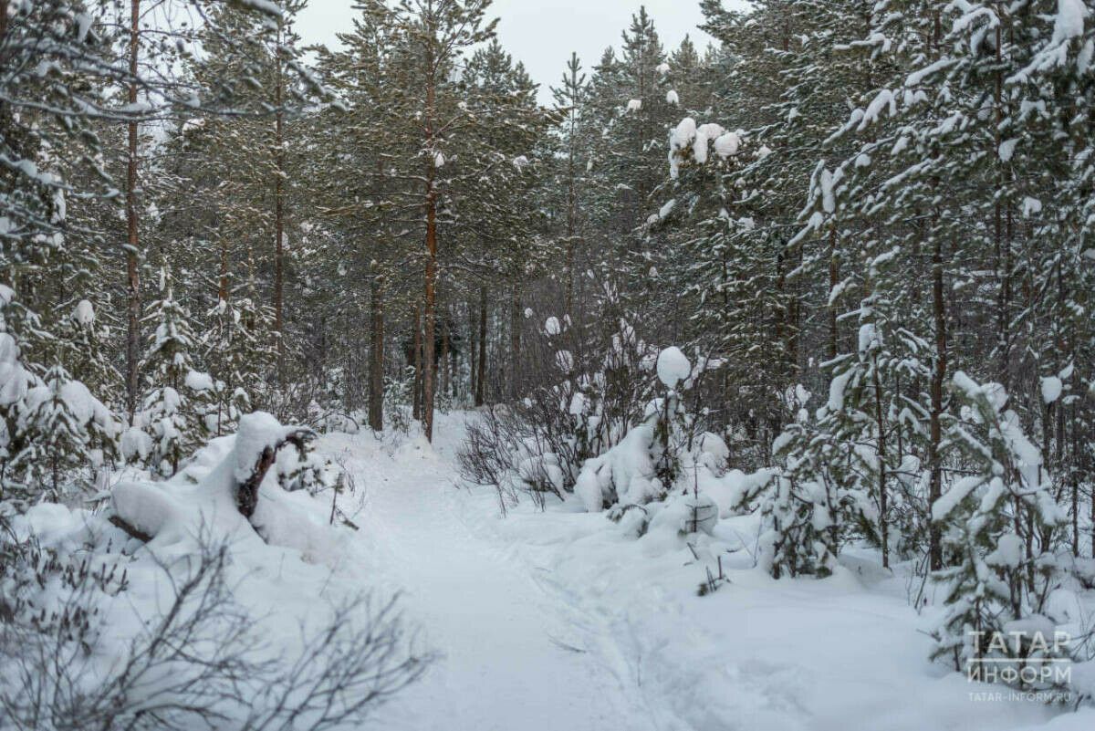 Синоптиклар Татарстанда көчле җил һәм бозлавык хакында кисәтте