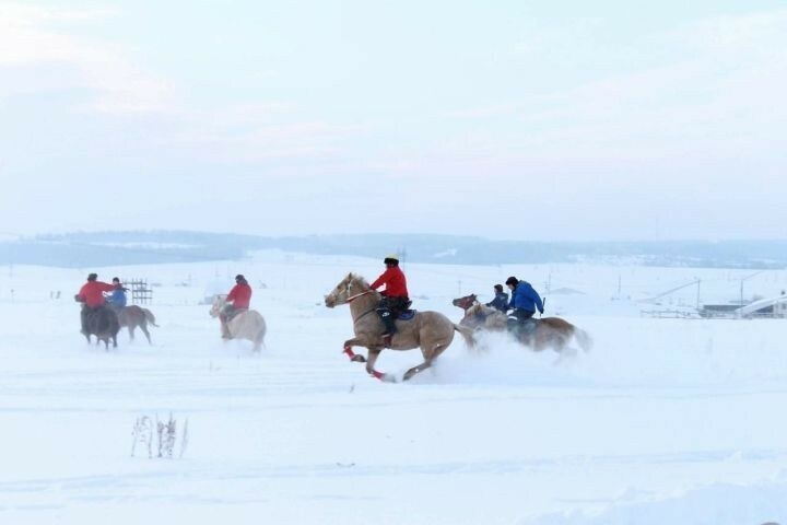 Лениногорскида «Күк бүре» уены буенча турнир була