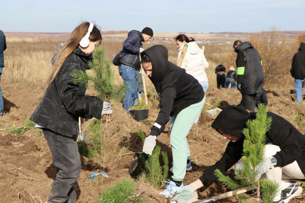 Питрәч районында «УрманФест» акциясе узды