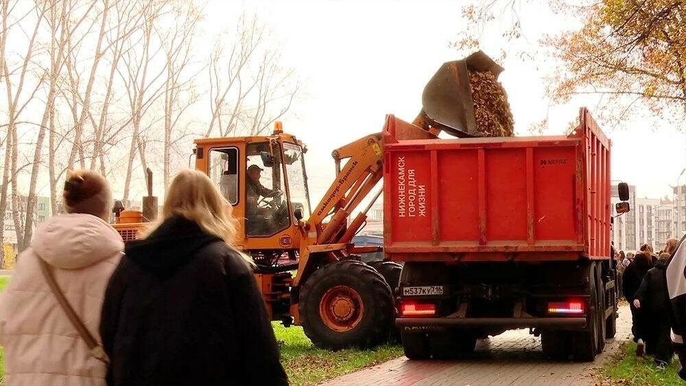 Түбән Кама студентлары «Урман» паркы территориясендә өмә үткәрде