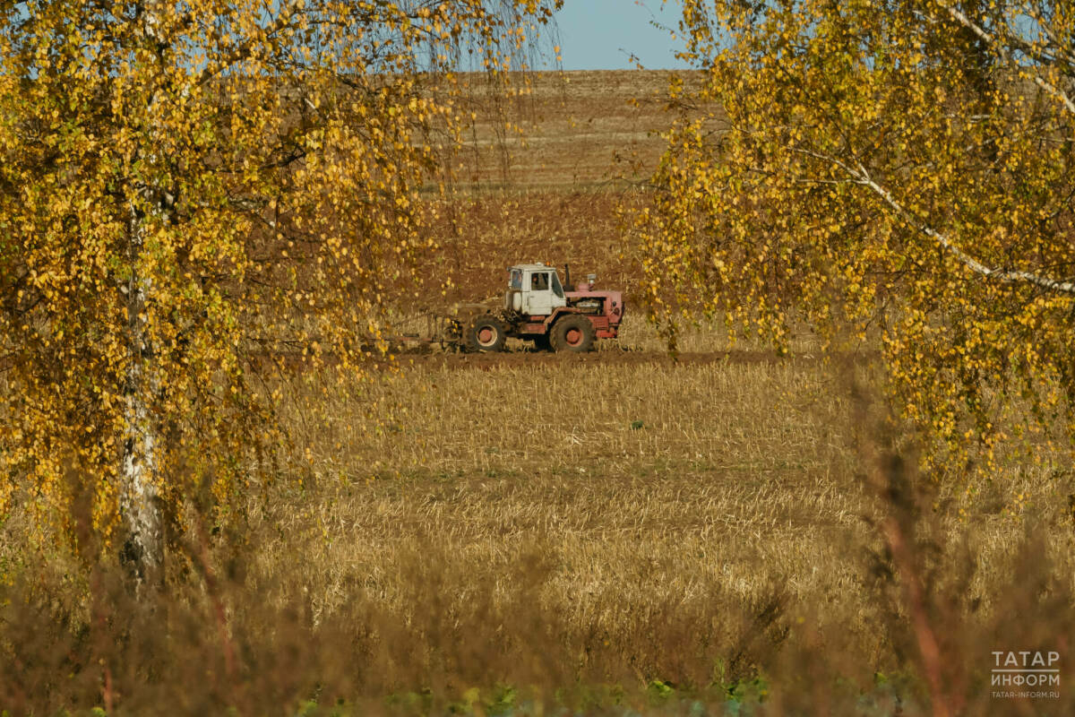 Марат Җәббаров алты районның игенчеләренә эшне тизләтергә чакырды