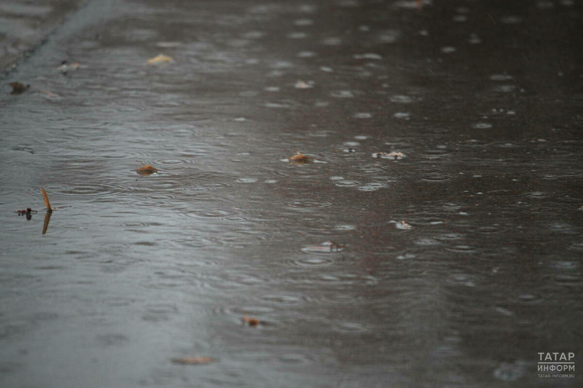 Бу атнада Татарстанда яңгыр һәм көчле җил көтелә