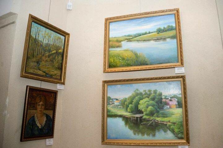 Түбән Камада  «Минем тыныч ватаным» дигән картиналар күргәзмәсе ачылды