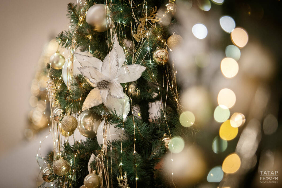 Роспотребнадзор Яңа ел чыршысын сатып алу өчен иң яхшы вакытны атады