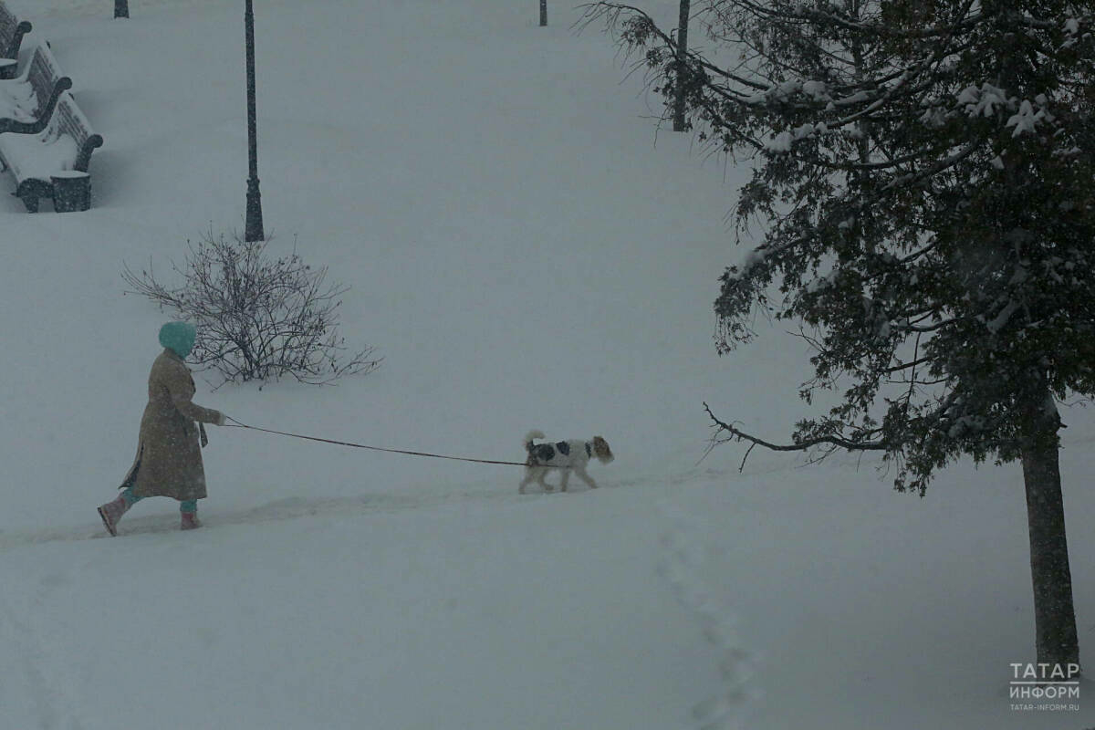 Татарстанда буран, бозлавык, томан һәм нуль градуска кадәр җылы булуы көтелә