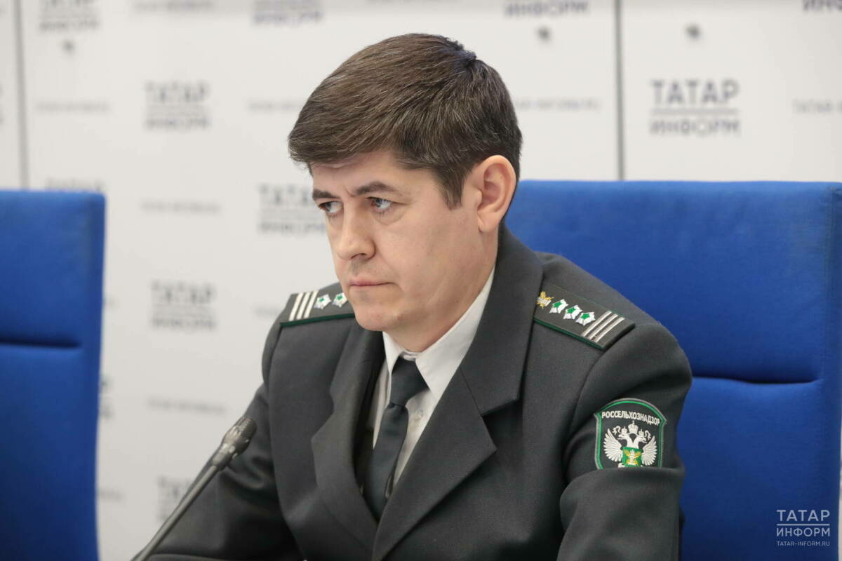 Быел Татарстаннан туры экспорт белән 100 мең тоннадан артык икмәк озатылган