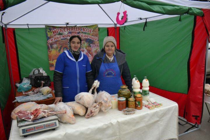 Минзәләдә Инвалидлар декадасына багышланган ярминкә узды